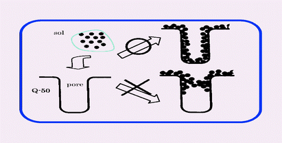 Graphical abstract: Simultaneous introduction of chemical and spatial effects via a new bimodal catalyst support preparation method