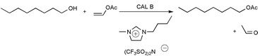 Graphical abstract: Biocatalysis in ionic liquids: batchwise and continuous flow processes using supercritical carbon dioxide as the mobile phase