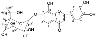 Graphical abstract: Structural studies of 2-(3′,4′-dihydroxyphenyl)-7-β-D-glucopyranos-1-O-yl-8-hydroxychroman-4-one in the liquid and solid states by means of 2D NMR spectroscopy and DFT calculations