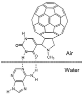Graphical abstract: Molecular recognition of adenine, adenosine and ATP at the air–water interface by a uracil appended fullerene