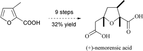 Graphical abstract: Preparation of (+)-nemorensic acid and approaches to nemorensine using the partial reduction of electron deficient furans