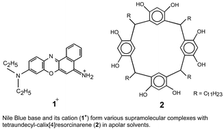 Graphical abstract: Proton transfer and supramolecular complex formation between Nile Blue and tetraundecylcalix[4]resorcinarene—a fluorescence spectroscopic study