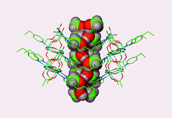Graphical abstract: Channel-containing 1D coordination polymers based on a linear dimetallic spacer