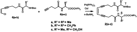 Graphical abstract: Synthesis, reactivity and conformational preferences of novel enediynyl peptides: a possible scaffold for β-sheet capping turns