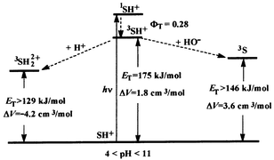 Graphical abstract: Thermodynamic changes in the photoinduced proton-transfer reaction of the triplet state of safranine-T