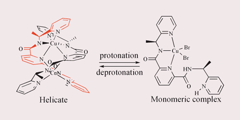 Graphical abstract: Mononuclear–dinuclear helicate interconversion of dibromo{N,N′-bis[(S)-1-2-(pyridyl)ethyl]pyridine-2,6-dicarboxamidate}copper(ii) via a deprotonation–protonation process