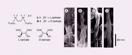 Graphical abstract: Double helical silica fibrils by sol–gel transcription of chiral aggregates of gemini surfactants