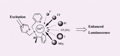 Graphical abstract: Anion sensing with luminescent lanthanide complexes of tris(2-pyridylmethyl)amines: Pronounced effects of lanthanide center and ligand chirality on anion selectivity and sensitivity