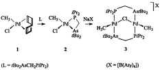 Graphical abstract: Mono- and di-nuclear palladium(ii) complexes with bulky arsino(phosphino)methanes in different coordination modes