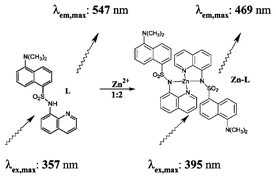 Graphical abstract: Novel zinc fluorescent probe bearing dansyl and aminoquinoline groups