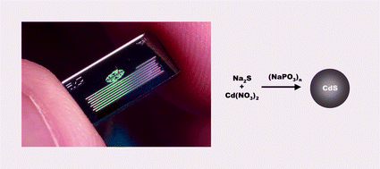 Graphical abstract: Microfluidic routes to the controlled production of nanoparticles