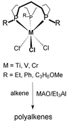 Graphical abstract: Transition metal complexes of triphosphorus macrocycles: A new class of homogeneous olefin polymerisation catalysts