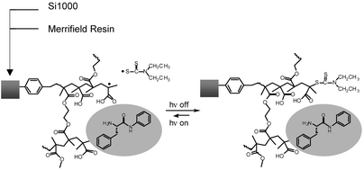 Graphical abstract: Molecularly imprinted composite materials via iniferter-modified supports