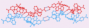 Graphical abstract: Self-assembly of an organometallic side-by-side double helix