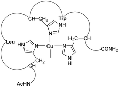 Graphical abstract: Specific binding of Cu2+ ions by a pentapeptide fragment present in the cysteine-rich region of amyloid precursor protein