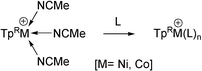 Graphical abstract: Highly labile cationic tris-acetonitrile complexes, [TpRM(NCMe)3]OTf (M = Ni, Co; TpR: hydrotrispyrazolylborato, R = Ph, Me and iPr2): versatile precursors for TpR-containing nickel and cobalt complexes