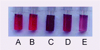 Graphical abstract: One-step synthesis of hydrophobized gold nanoparticles of controllable size by the reduction of aqueous chloroaurate ions by hexadecylaniline at the liquid–liquid interface