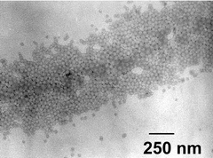 Graphical abstract: Synthesis of nanostructured polymer-titanium oxide composites through the assembly of titanium-oxo clusters and amphiphilic block copolymers micelles