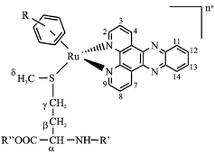 Graphical abstract: Coligand tuning of the DNA binding properties of bioorganometallic (η6-arene)ruthenium(ii) complexes of the type [(η6-arene)Ru(amino acid)(dppz)]n+ (dppz = dipyrido[3,2-a:2′,3′-c]phenazine), n = 1–3