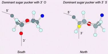 Graphical abstract: Probing the effect of a 3′-S-phosphorothiolate link on the conformation of a DNA:RNA hybrid; implications for antisense drug design