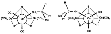 Graphical abstract: Slow epimerization of stereochemically rigid diastereomers of the equatorially substituted cluster [Os3H2(μ3-S)(CO)8{(S)-PhCHMeNH2}]