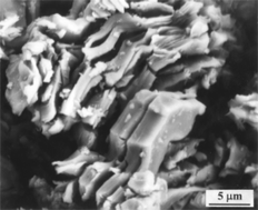 Graphical abstract: Oxidation behavior of Ti3AlC2 powders in flowing air