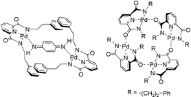 Graphical abstract: Architectural formation of a conjugated bimetallic Pd(ii) complex via oxidative complexation and a tetracyclic Pd(ii) complex via self-assembling complexation