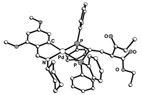 Graphical abstract: Nucleophilic addition of 1,3-dicarbonyl compounds as a route to functionalized cyclopalladated complexes with chelated 1,1-bis(diphenylphosphino)ethene