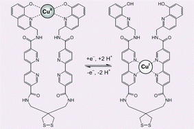 Graphical abstract: A new molecular switch: redox-driven translocation mechanism of the copper cation