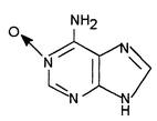 Graphical abstract: Oxidation chemistry of adenine N1-oxide, a potent oncogenic agent, at a pyrolytic graphite electrode