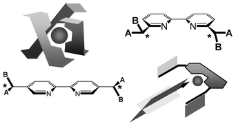 Graphical abstract: Chiral 2,2′-bipyridines: ligands for asymmetric induction
