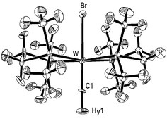 Graphical abstract: Chemical bonding in methylidyne complexes: neutron diffraction study on a single crystal of BrW [[triple bond, length as m-dash]] CH(dmpe-d12)2