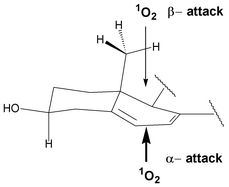 Graphical abstract: A new look into the reaction between ergosterol and singlet oxygen in vitro