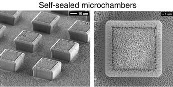Graphical abstract: Arrays of self-sealed microchambers and channels
