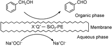 Graphical abstract: The selective oxidation of benzyl alcohol using a novel catalytic membrane reactor