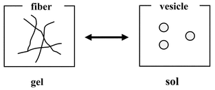 Graphical abstract: Sol–gel phase transition induced by fiber–vesicle structural changes in sugar-based bolaamphiphiles