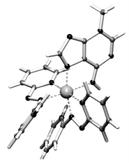 Graphical abstract: Crystallographic and NMR evidence of the unusual N6,N7-didentate chelation of 3-methyladenine coordinated to the cytotoxic α-dichlorobis(2-phenylazopyridine)ruthenium(ii) complex