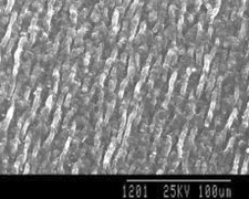 Graphical abstract: Modification of isotactic polypropylene film by grafting of acrylic acid using supercritical CO2 as a swelling agent