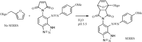 Graphical abstract: A new approach to oligonucleotide labelling using Diels–Alder cycloadditions and detection by SERRS