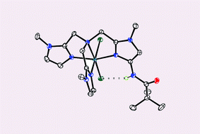 Graphical abstract: Structure and properties of an Fe(iii) complex containing a novel amide functionalized polyimidazole ligand
