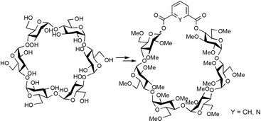 Graphical abstract: A facile synthesis of novel types of cyclodextrin derivatives by insertion of an aromatic dicarbonyl spacer into a permethylated α-cyclodextrin skeleton