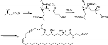 Graphical abstract: Synthesis of taurospongin A: a potent inhibitor of DNA polymerase and HIV reverse transcriptase, using π-allyltricarbonyliron lactone complexes