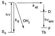 Graphical abstract: Synthesis, molecular structure and emission properties of benzoato-bridged lanthanide complexes with hydrotris(pyrazolyl)borate