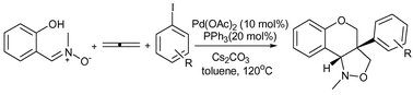 Graphical abstract: Novel synthesis of fused isoxazolidines via a palladium catalysed allene insertion–intramolecular 1,3-dipolar cycloaddition cascade reaction