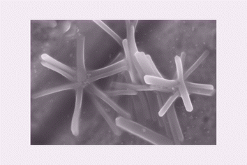 Graphical abstract: Starlike nanostructures of polyoxometalates K3[PMo12O40]·nH2O synthesized and assembled by an inverse microemulsion method