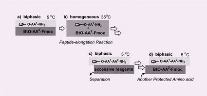 Graphical abstract: A liquid-phase peptide synthesis in cyclohexane-based biphasic thermomorphic systems