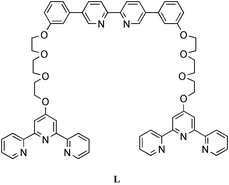 Graphical abstract: Formation of a [1 + 1] metallomacrocycle from a heterotritopic ligand containing two terpy and one bipy metal-binding domains