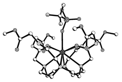 Graphical abstract: Rapid hydrolytic cleavage of the mRNA model compound HPNP by glycine based macrocyclic lanthanide ribonuclease mimics