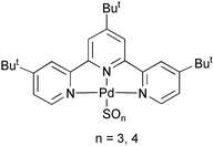 Graphical abstract: Transformation of sulfur dioxide to sulfate at a palladium centre