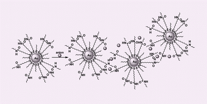 Graphical abstract: Enhanced optical sensing of anions with amide-functionalized gold nanoparticles